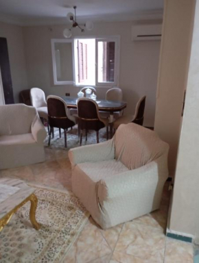 air-conditioned apartment at nasrcity